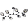 Потолочный светильник FREYA DESI FR5006CL-08B